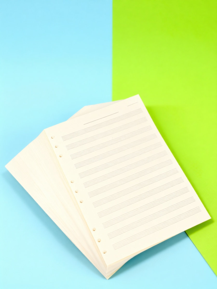 100장 분량의 악보용 종이, 5줄 악보, 2mm 간격 - Blank Sheet Music Notebook 리뷰 및 가격